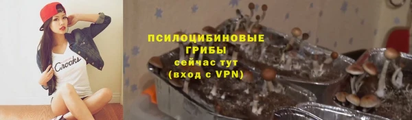 не бодяженный Арсеньев