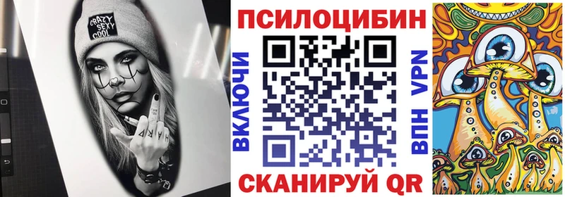 Псилоцибиновые грибы мухоморы  купить наркотики цена  Усть-Илимск 