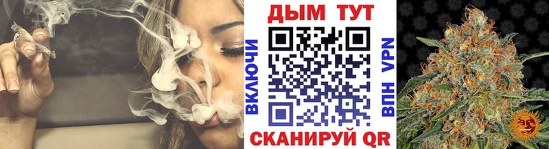 kraken онион  Усть-Илимск  Конопля планчик 